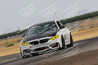 media/Jun-24-2023-Speed SF (Sat) [[1b7e0c161d]]/Gold Group/Session 1 (Sweeper)/